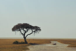 Namibia_August (61/135)